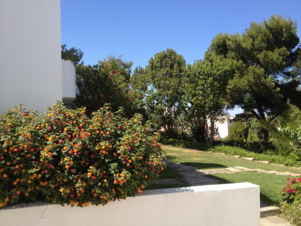 Cheerfulway Alto Do Moinho Apartamentos Albufeira Luaran gambar